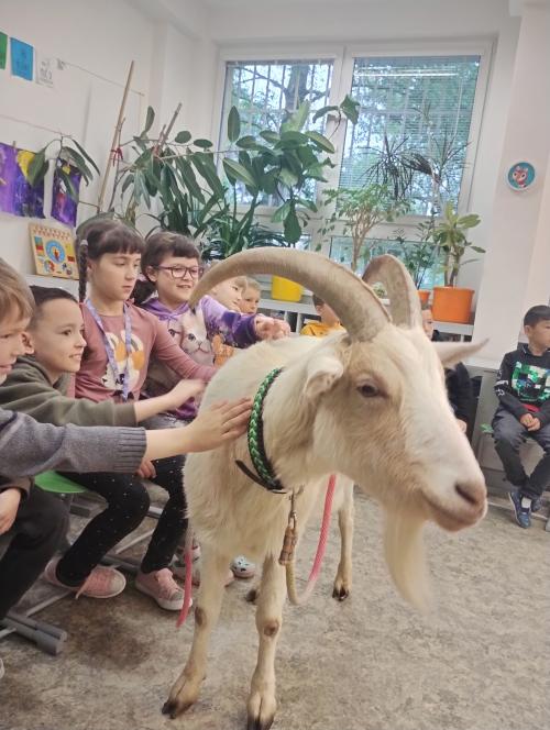 Akce 2.C - Setkání se zvířátky