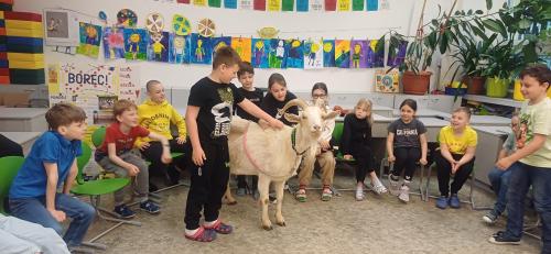 Akce 2.A - Setkání se zvířátky