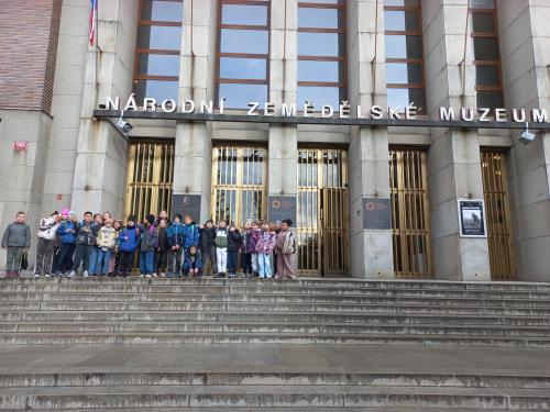 Přírodověda 4.C v muzeu