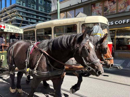 5.B - Projekt "MHD v Praze" 1 - tramvaje    17. 10. 2025