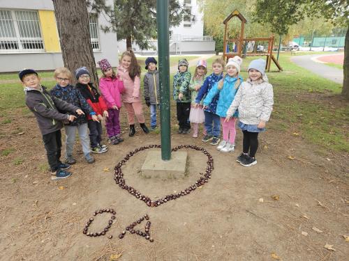 Akce PT - výuka s kaštany